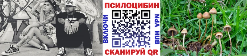Галлюциногенные грибы ЛСД  Купить  Колпашево 